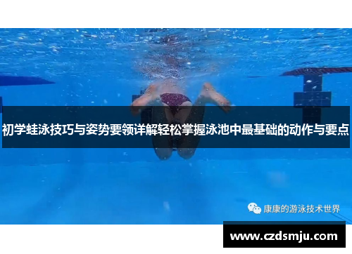 初学蛙泳技巧与姿势要领详解轻松掌握泳池中最基础的动作与要点