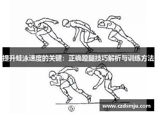 提升蛙泳速度的关键：正确蹬腿技巧解析与训练方法