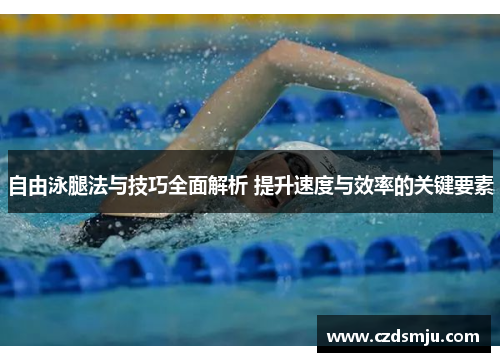 自由泳腿法与技巧全面解析 提升速度与效率的关键要素