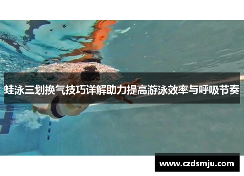 蛙泳三划换气技巧详解助力提高游泳效率与呼吸节奏