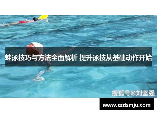 蛙泳技巧与方法全面解析 提升泳技从基础动作开始