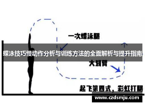 蝶泳技巧慢动作分析与训练方法的全面解析与提升指南