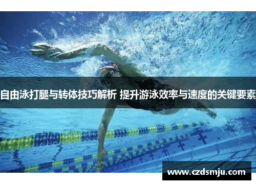 自由泳打腿与转体技巧解析 提升游泳效率与速度的关键要素